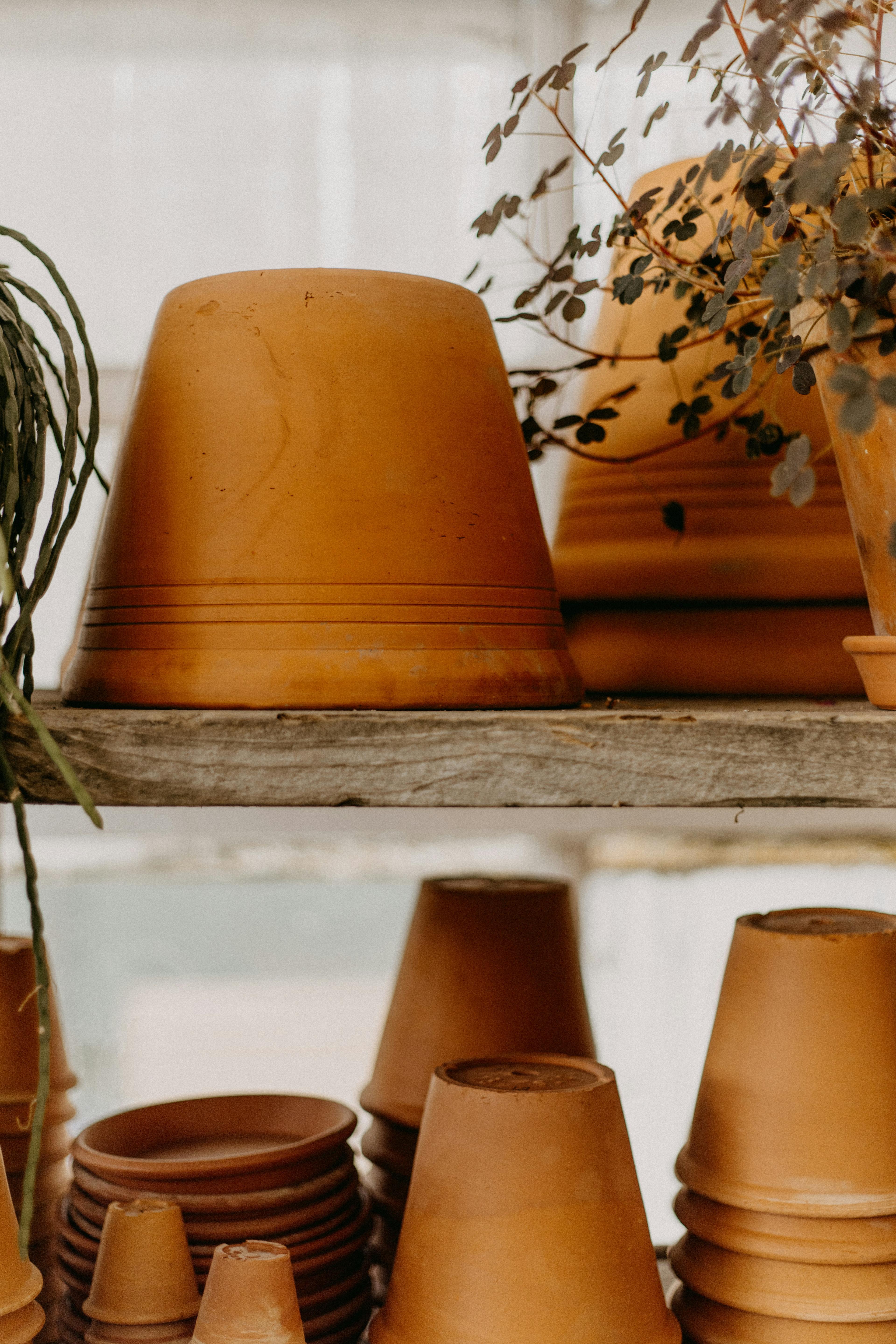 Terracotta and ceramic planters